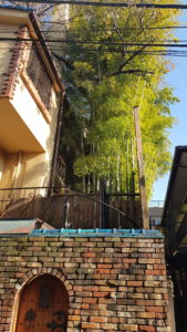 Bambus-Garten in Harajuku