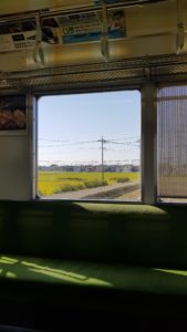 Blick aus dem Zugfenster auf dem Weg nach Nikko